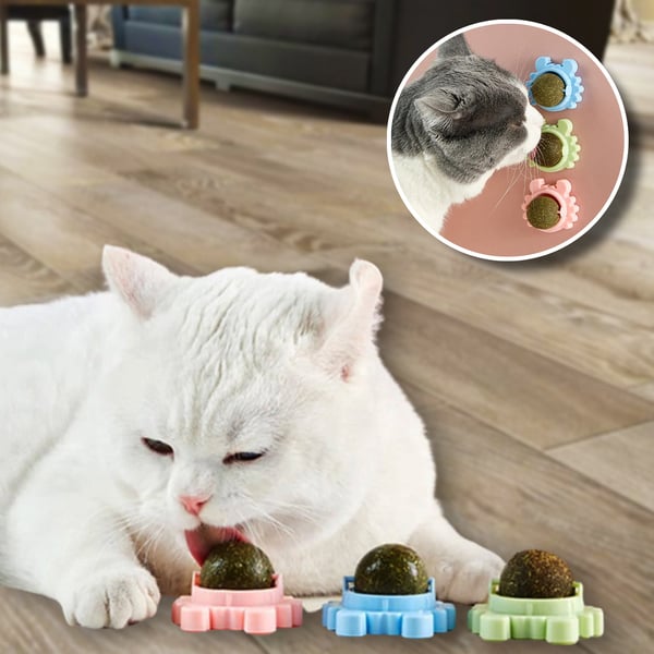 Catnip toy ball