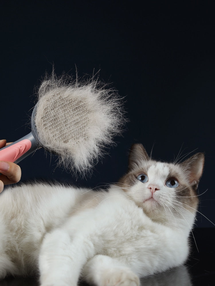 The ultimate pet brush